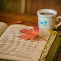 Rencontre du club lecture